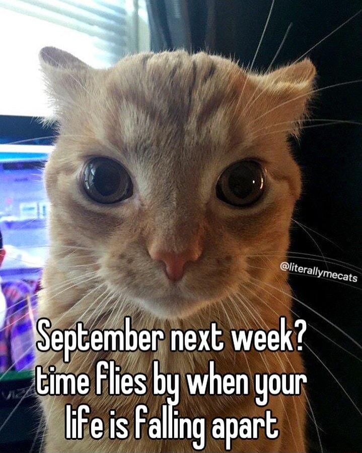 4 7 eefhl next week Time Flies bP when your ifieis Falling apart