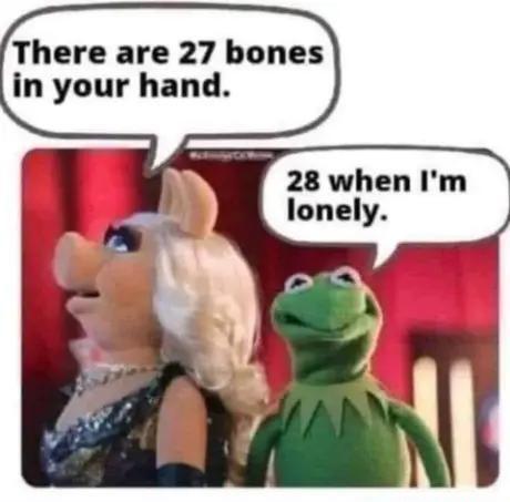 There are 27 bones in your hand