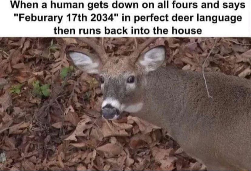 When a human get wn on all fours and says Feburary 17th 2034 erfect deer language then runs back into house A