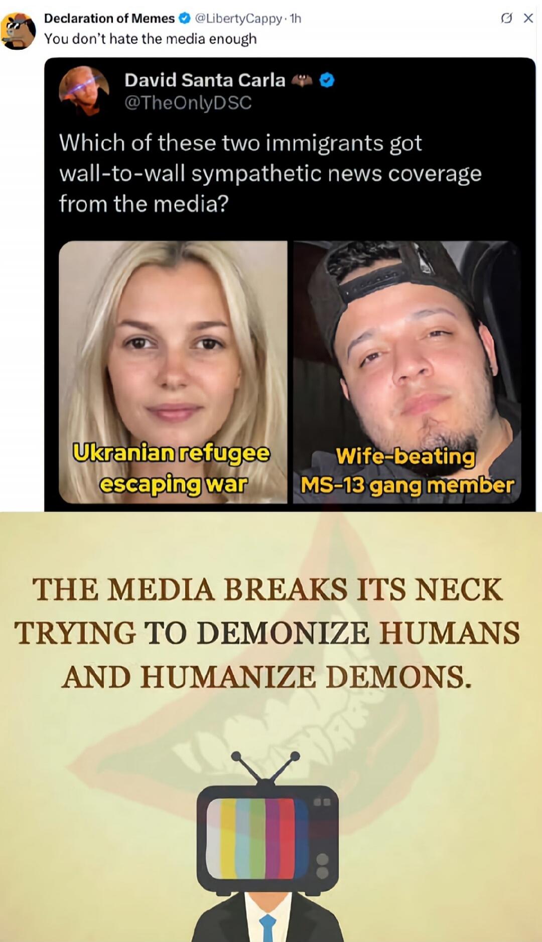 Which of these two immigrants got wall-to-wall sympathetic news coverage from the media?\n\nUkrainian refugee escaping war  ||  Wife-beating MS-13 gang member\n\nTHE MEDIA BREAKS ITS NECK TRYING TO DEMONIZE HUMANS AND HUMANIZE DEMONS.