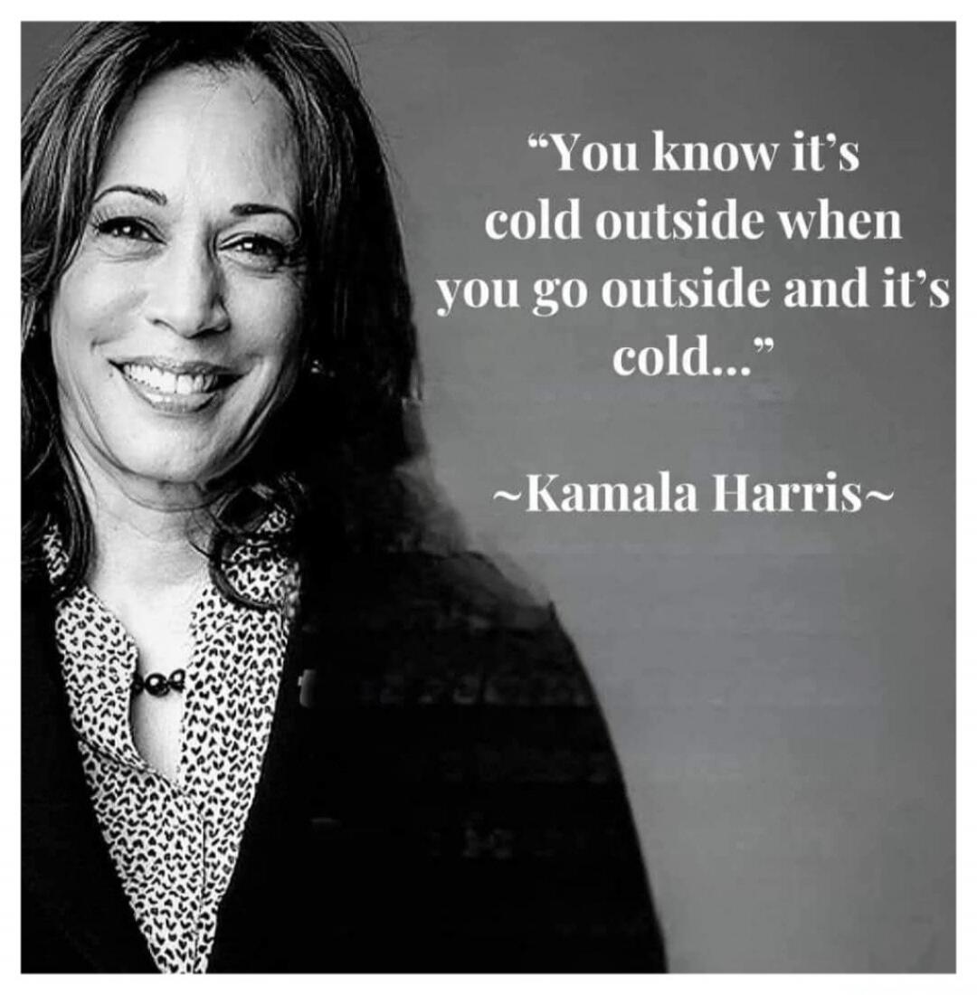 You know it's cold outside when you go outside and it's cold... ~Kamala Harris~
