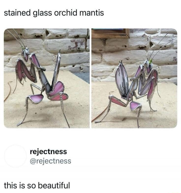 stained glass orchid mantis this is so beautiful