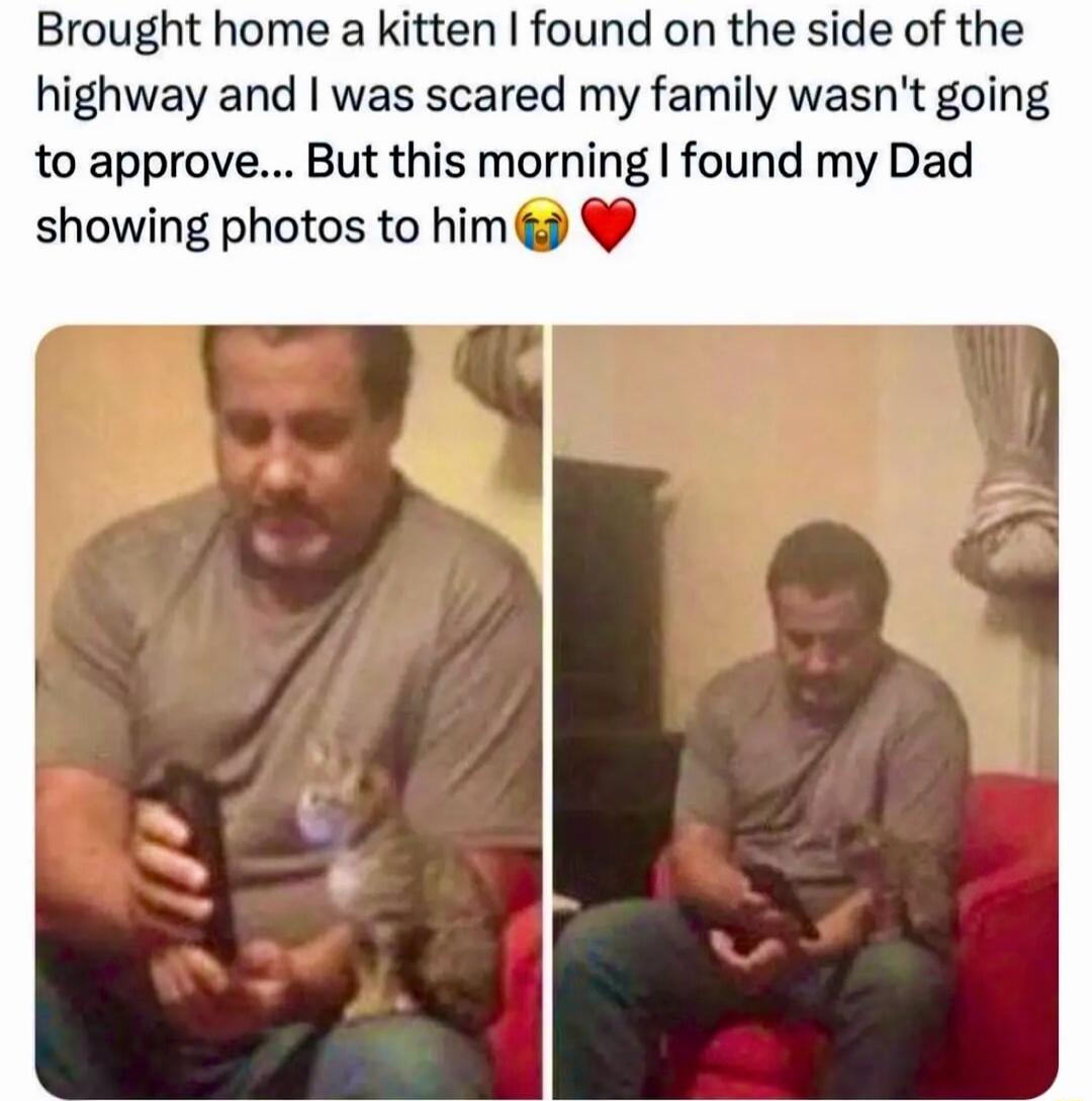 Brought home a kitten found on the side of the highway and was scared my family wasnt going to approve But this morning found my Dad showing photos to him