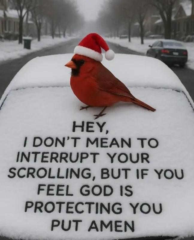 HEY, I DON'T MEAN TO INTERRUPT YOUR SCROLLING, BUT IF YOU FEEL GOD IS PROTECTING YOU PUT AMEN