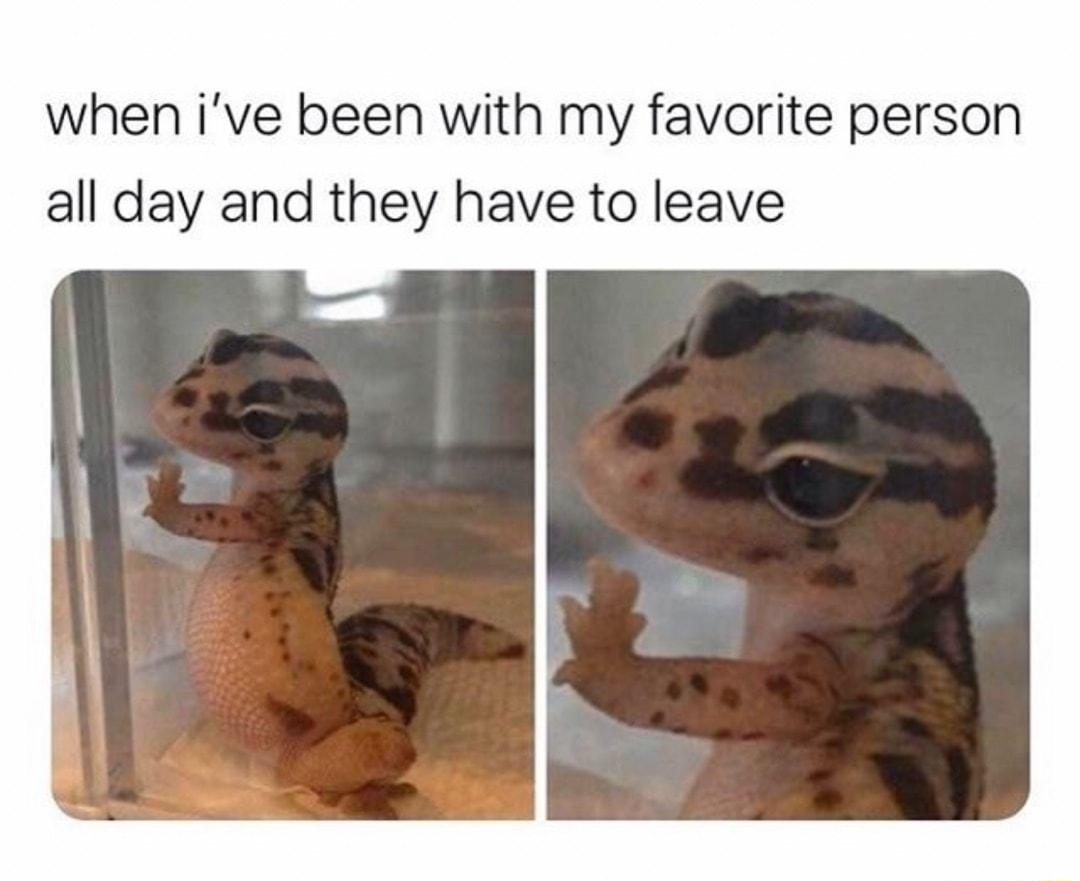 when ive been with my favorite person all day and they have to leave
