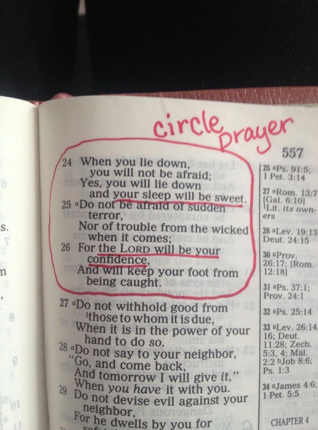 circle prayer. 24 When you lie down, you will not be afraid; Yes, you will lie down and your sleep will be sweet. 25 Do not be afraid of sudden terror, Nor of trouble from the wicked when it comes; 26 For the LORD will be your confidence, And will keep your foot from being caught. 27 Do not withhold good from those to whom it is due, When it is in 