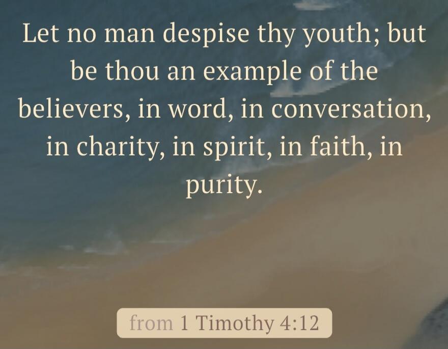 Let no man despise thy youth; but be thou an example of the believers, in word, in conversation, in charity, in spirit, in faith, in purity. from 1 Timothy 4:12