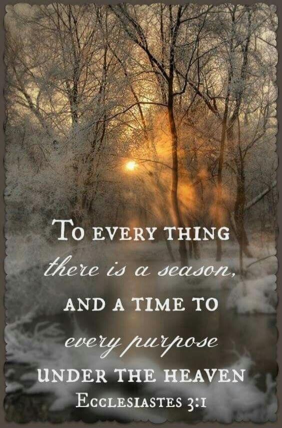 To every thing there is a season, and a time to every purpose under the heaven Ecclesiastes 3:1
