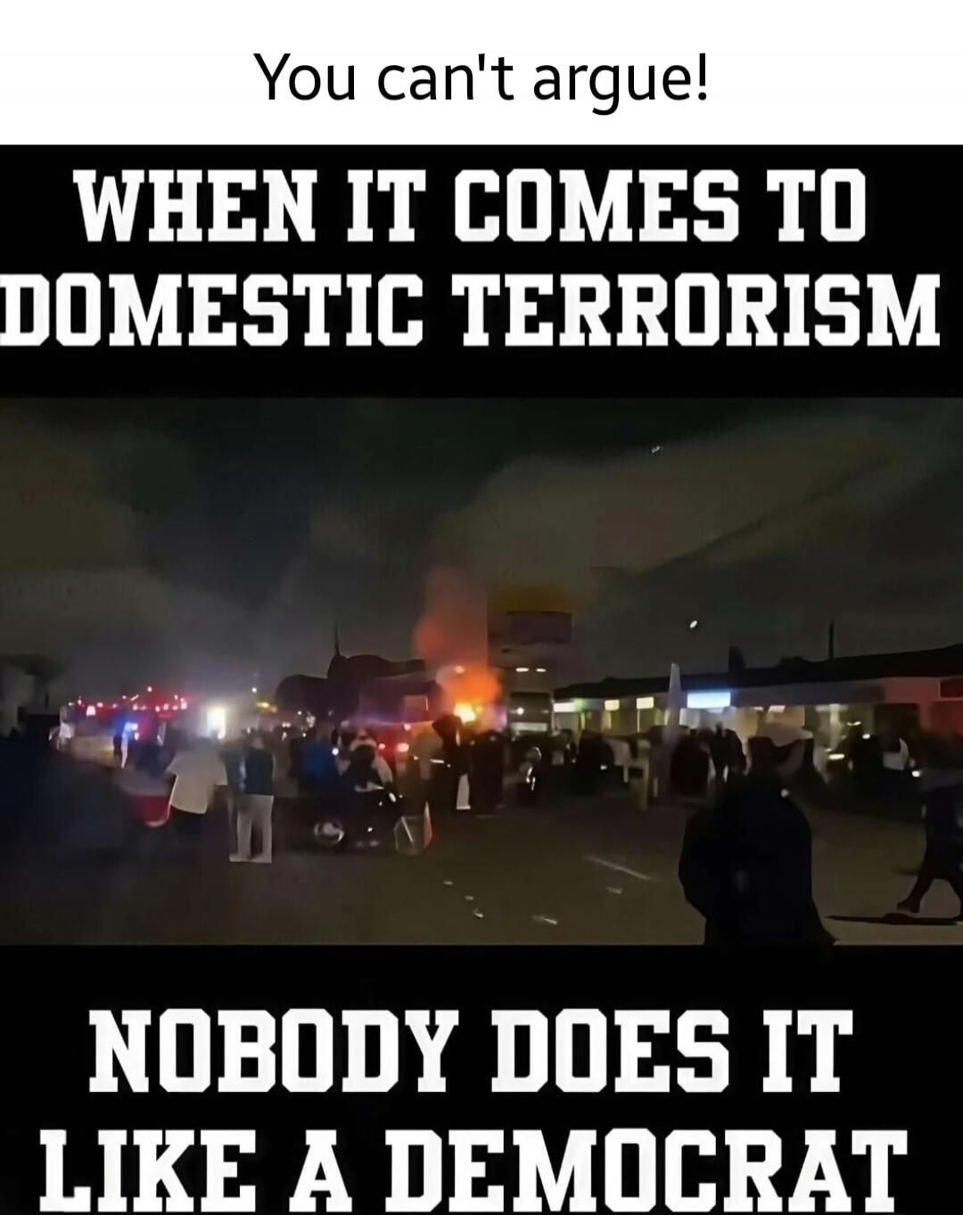 You can't argue! WHEN IT COMES TO DOMESTIC TERRORISM NOBODY DOES IT LIKE A DEMOCRAT