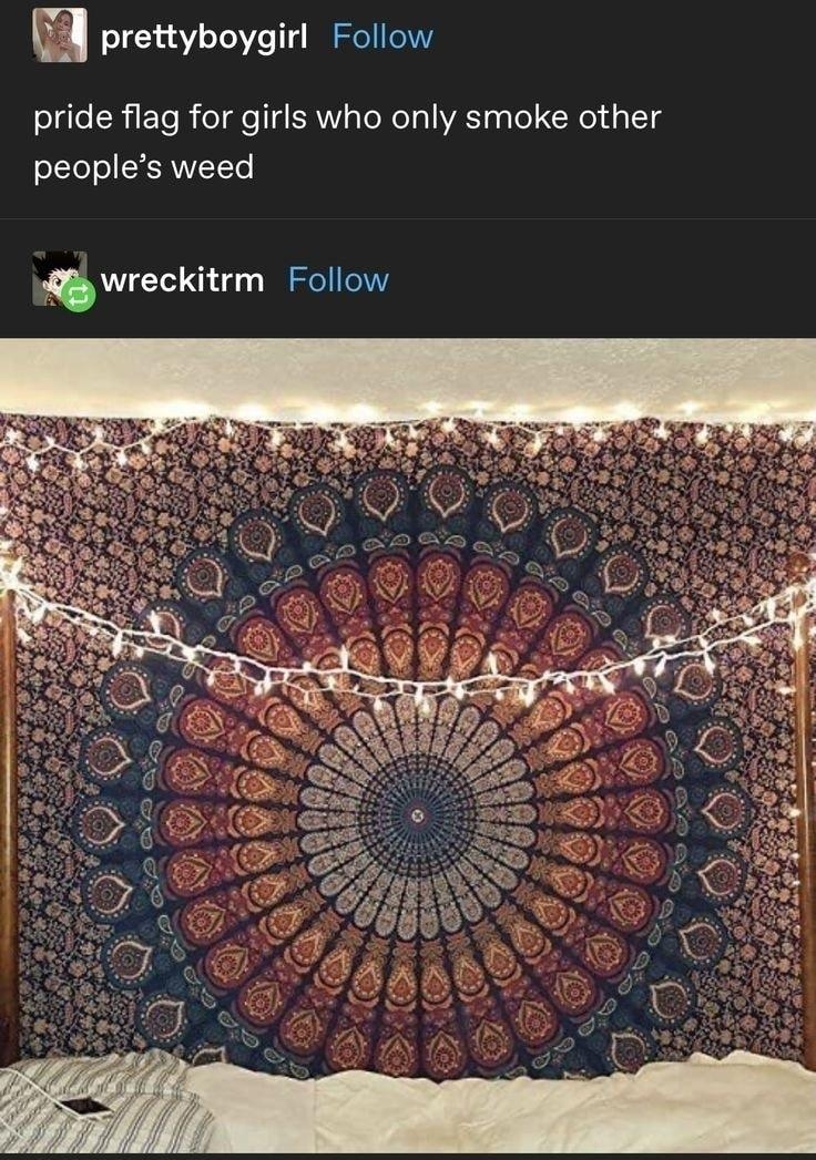 prettyboygirl Follow pride flag for girls who only smoke other peoples weed Jwreckitrm ee 9624 notes 4_5 V