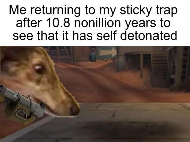 Me returning to my sticky trap after 108 nonillion years to see that it has self detonated