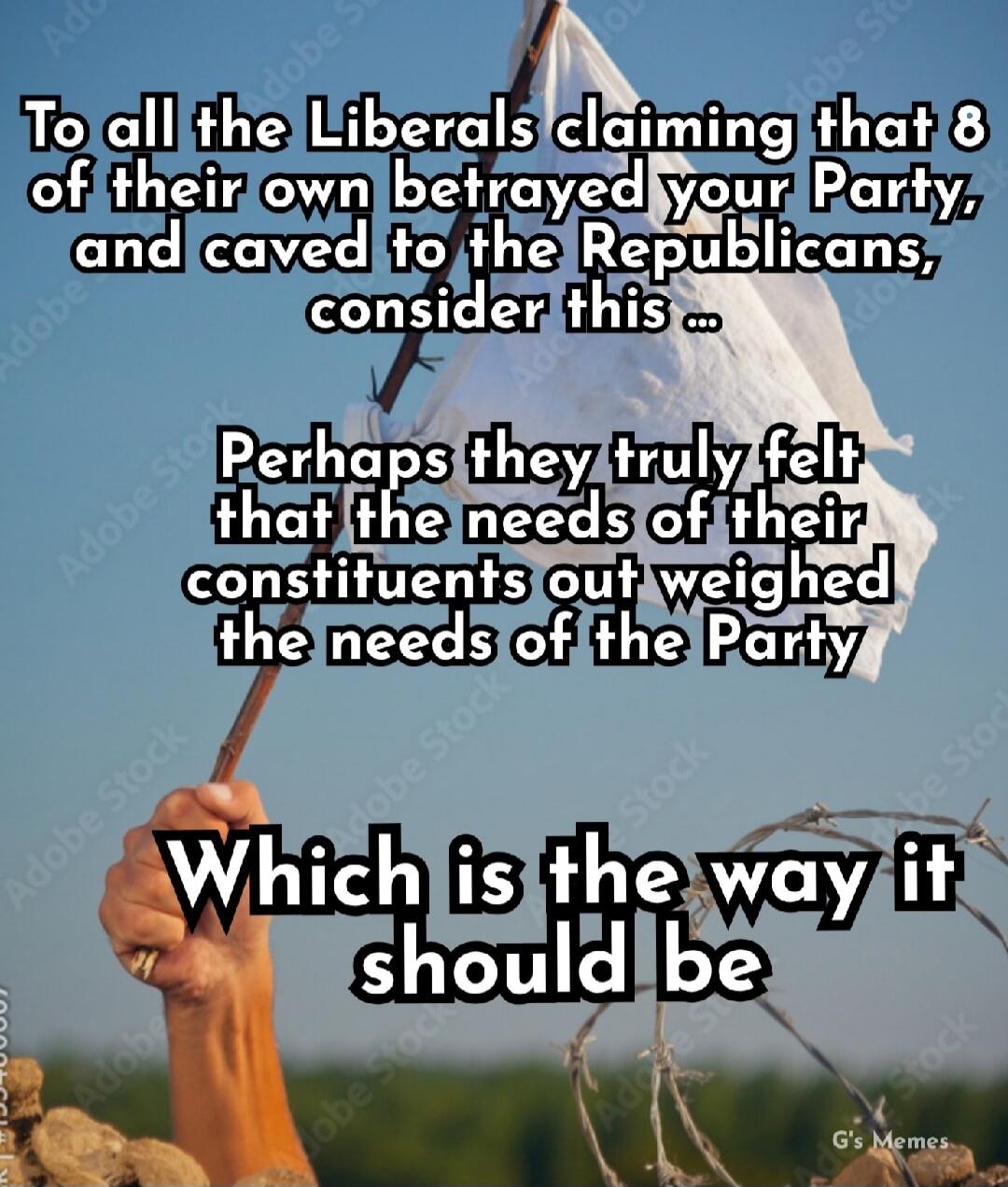 To all the Liberals claiming that 8 of their own betrayed your Party, and caved to the Republicans, consider this ... Perhaps they truly felt that the needs of their constituents out weighed the needs of the Party

Which is the way it should be