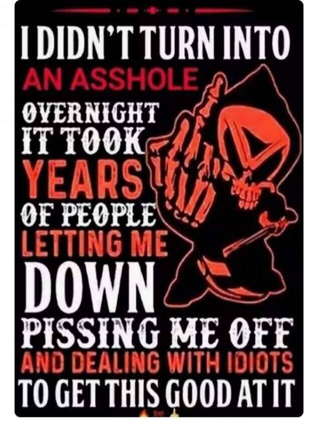 I DIDN'T TURN INTO AN ASSHOLE OVERNIGHT IT TOOK YEARS OF PEOPLE LETTING ME DOWN PISSING ME OFF AND DEALING WITH IDIOTS TO GET THIS GOOD AT IT