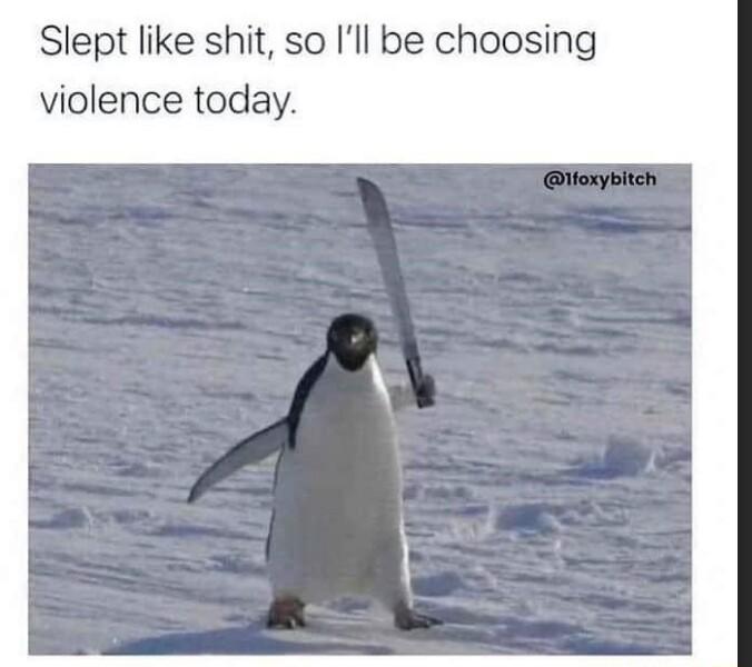 Slept like shit so Ill be choosing violence today