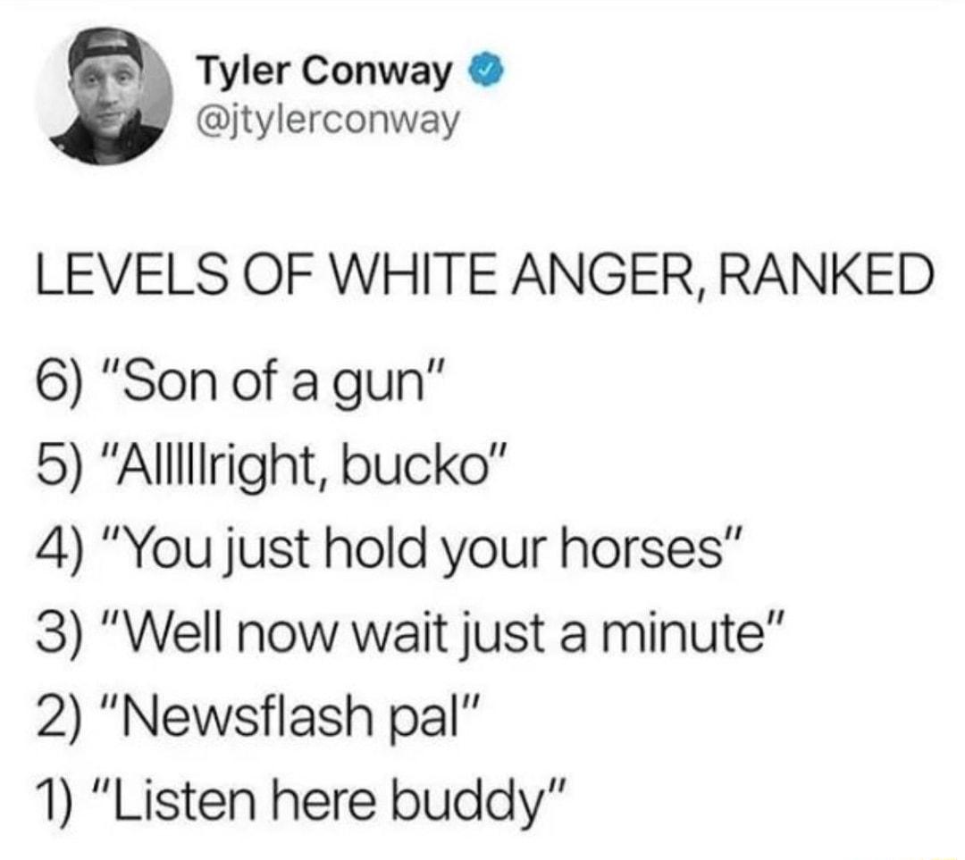 Tyler Conway jtylerconway LEVELS OF WHITE ANGER RANKED 6 Son of a gun 5 Alllliright bucko 4 You just hold your horses 3 Well now wait just a minute 2 Newsflash pal 1 Listen here buddy