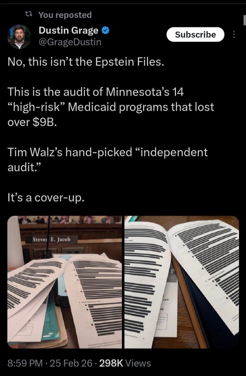 No, this isn't the Epstein Files. This is the audit of Minnesota's 14 