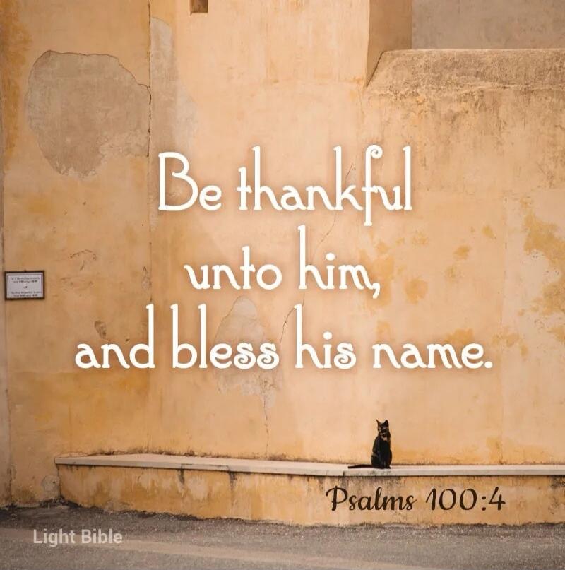 Be thankful unto him, and bless his name. Psalms 100:4
Light Bible