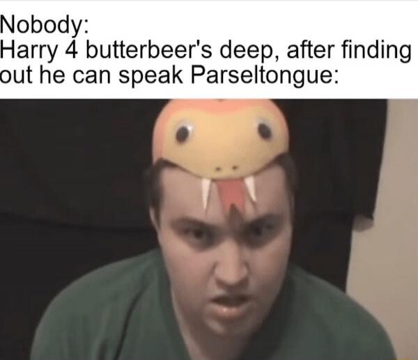 Nobody: Harry 4 butterbeer's deep, after finding out he can speak Parseltongue: