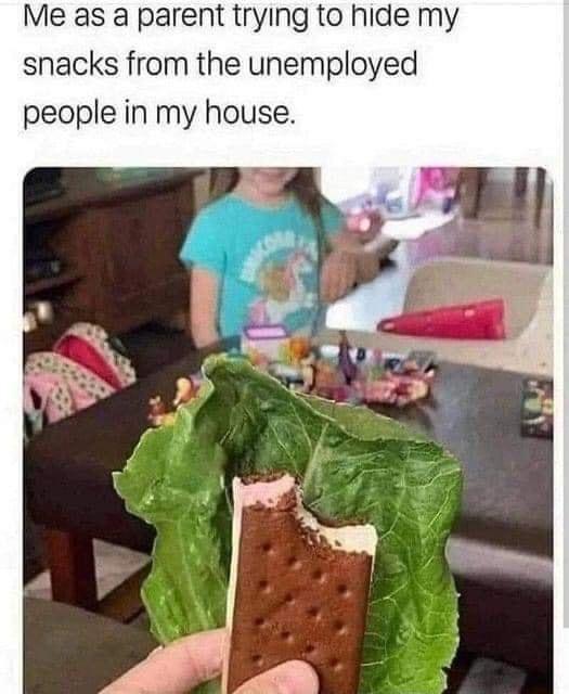 Me as a parent trying to hide my snacks from the unemployed people in my house