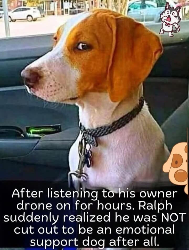 After listening to his owner drone on for hours. Ralph suddenly realized he was NOT cut out to be an emotional support dog after all.