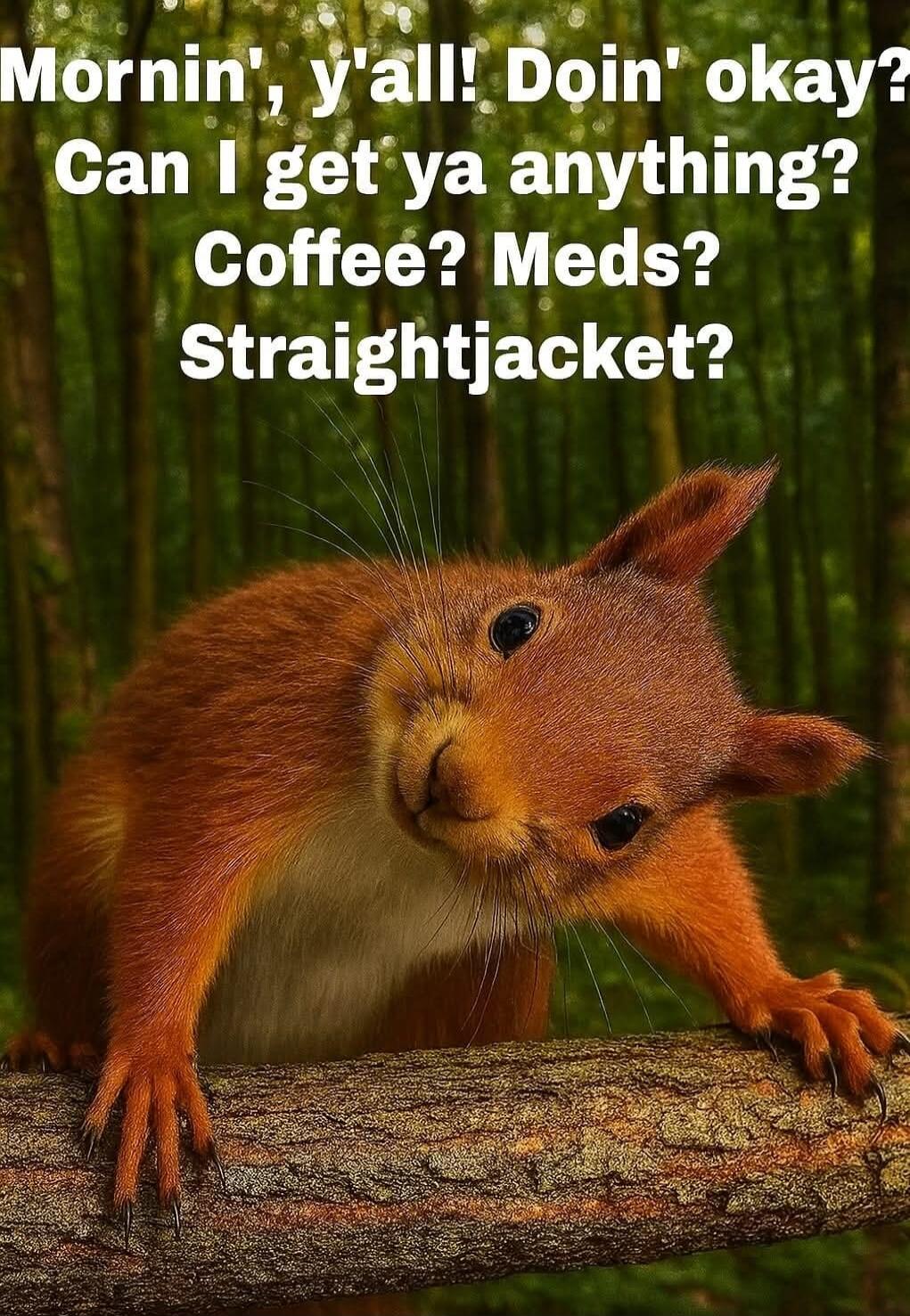 Mornin', y'all! Doin' okay? Can I get ya anything? Coffee? Meds? Straightjacket?