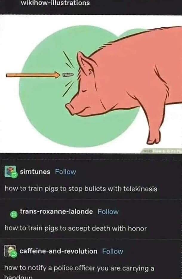 wikinow illustrations simtunes Follow how to train pigs to stop bullets with telekinesis trans roxanne lalonde Follow how to train pigs to accept death with honor caffeine and revolution Follow how ta notify a police officer you are carrying a R