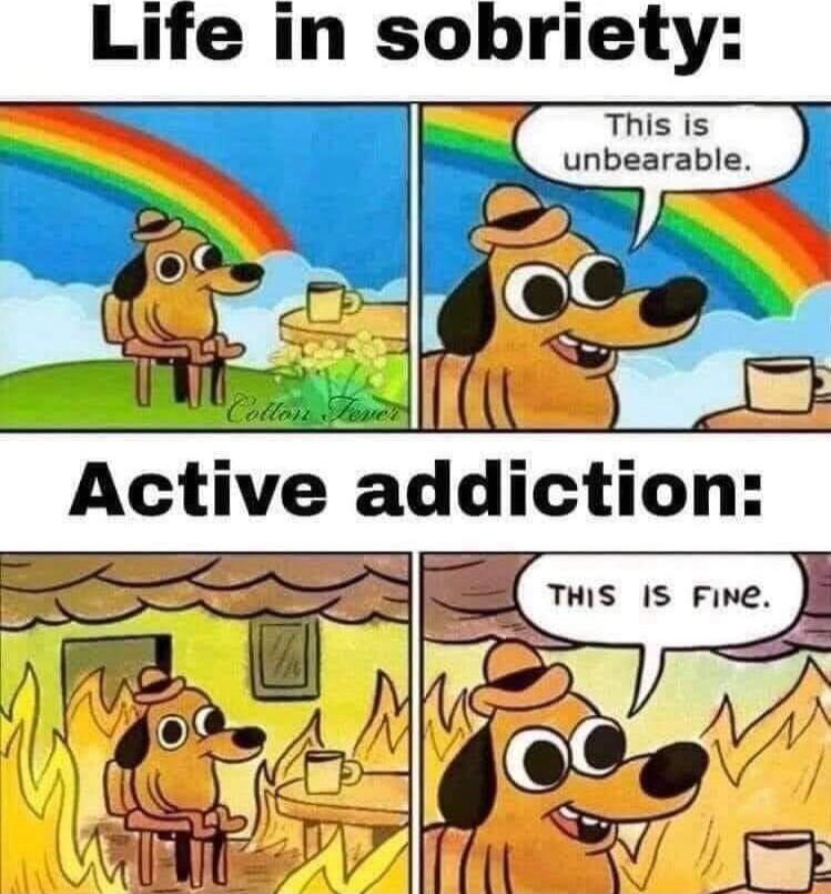 Life in sobriety