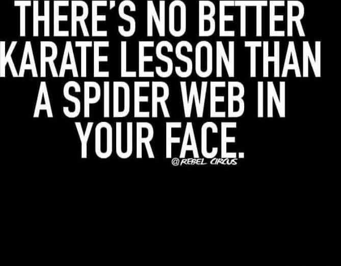 THERE'S NO BETTER KARATE LESSON THAN A SPIDER WEB IN YOUR FACE. @REBEL CIRCUS