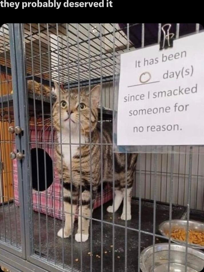 they probably deserved it