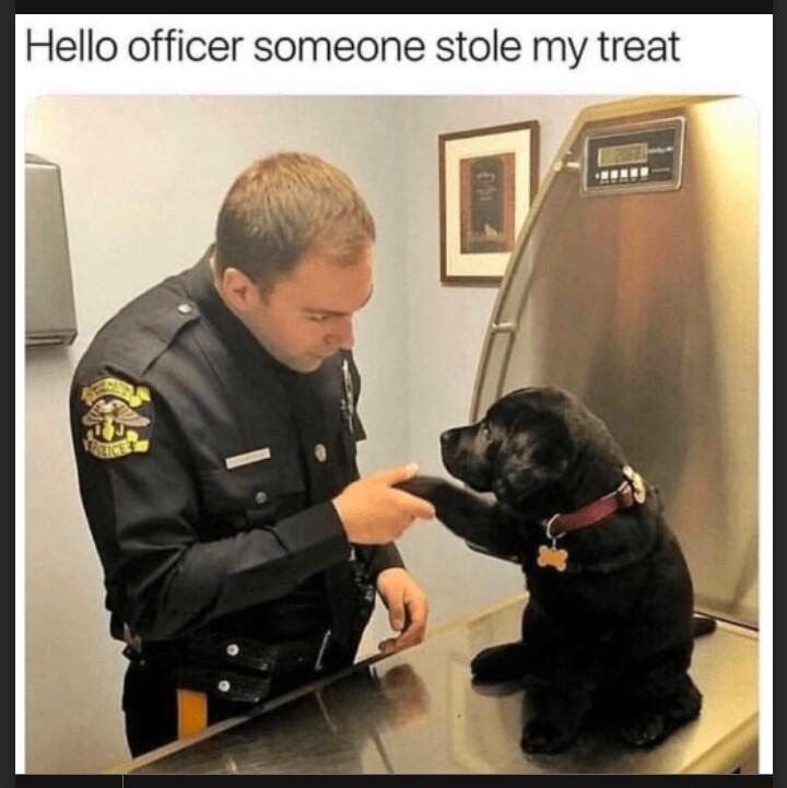 Hello officer someone stole my treat