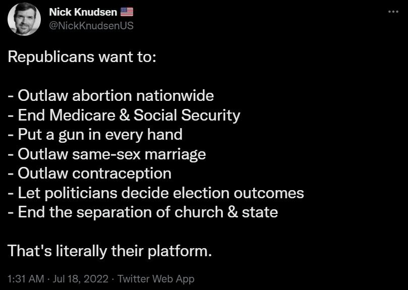 Nick Knudsen 8 NickKnudsenUS Republicans want to Outlaw abortion nationwide End Medicare Social Security Puta gun in every hand Outlaw same sex marriage Outlaw contraception Let politicians decide election outcomes End the separation of church state Thats literally their platform 1AM Jul 18 tor