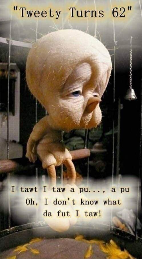 Tweety Turns 62\nI tawt I taw a pu..., a pu Oh, I don't know what da fut I taw!