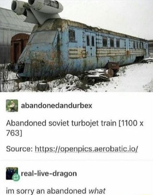 abandonedandurbex Abandoned soviet turbojet train 1100 x 763 Source httpsopenpicsaerobaticio real live dragon im sorry an abandoned what