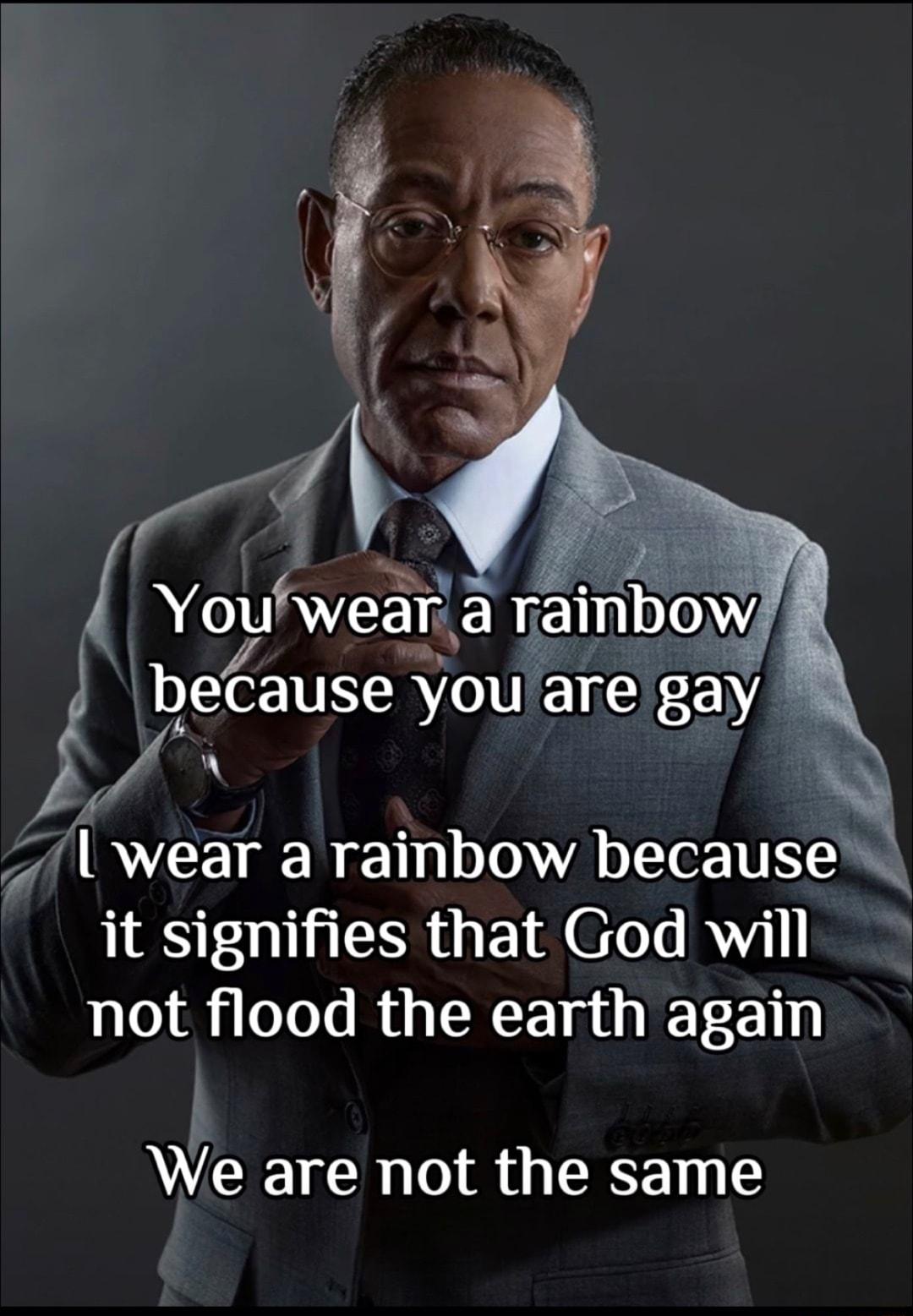 Youwear a rainbow beCause you are gay 2 3 wear a rainbow because it signifies that God will not flood the earth again We are not the same