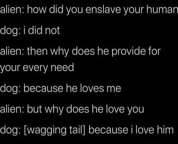 alien how did you enslave your human eloloNeollele alien then why does he provide for your every need dog because he loves me alien but why does he love you dog wagging tail because i love him