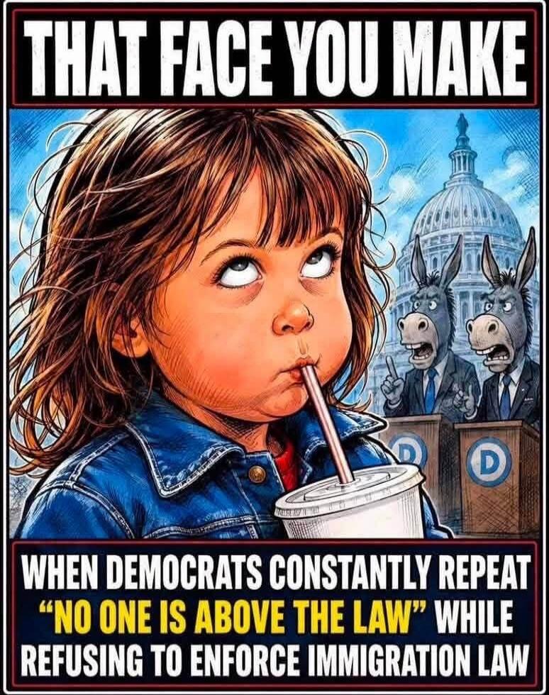 THAT FACE YOU MAKE WHEN DEMOCRATS CONSTANTLY REPEAT “NO ONE IS ABOVE THE LAW” WHILE REFUSING TO ENFORCE IMMIGRATION LAW