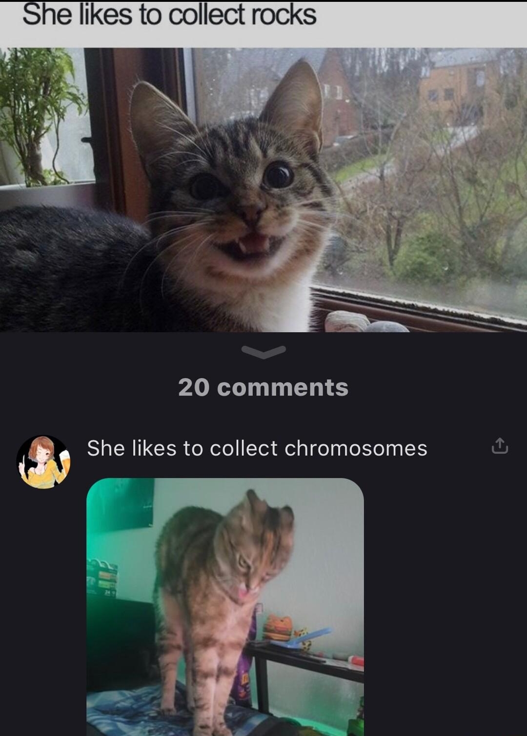 J wholesome_memes subscribe 20 comments w She likes to collect chromosomes
