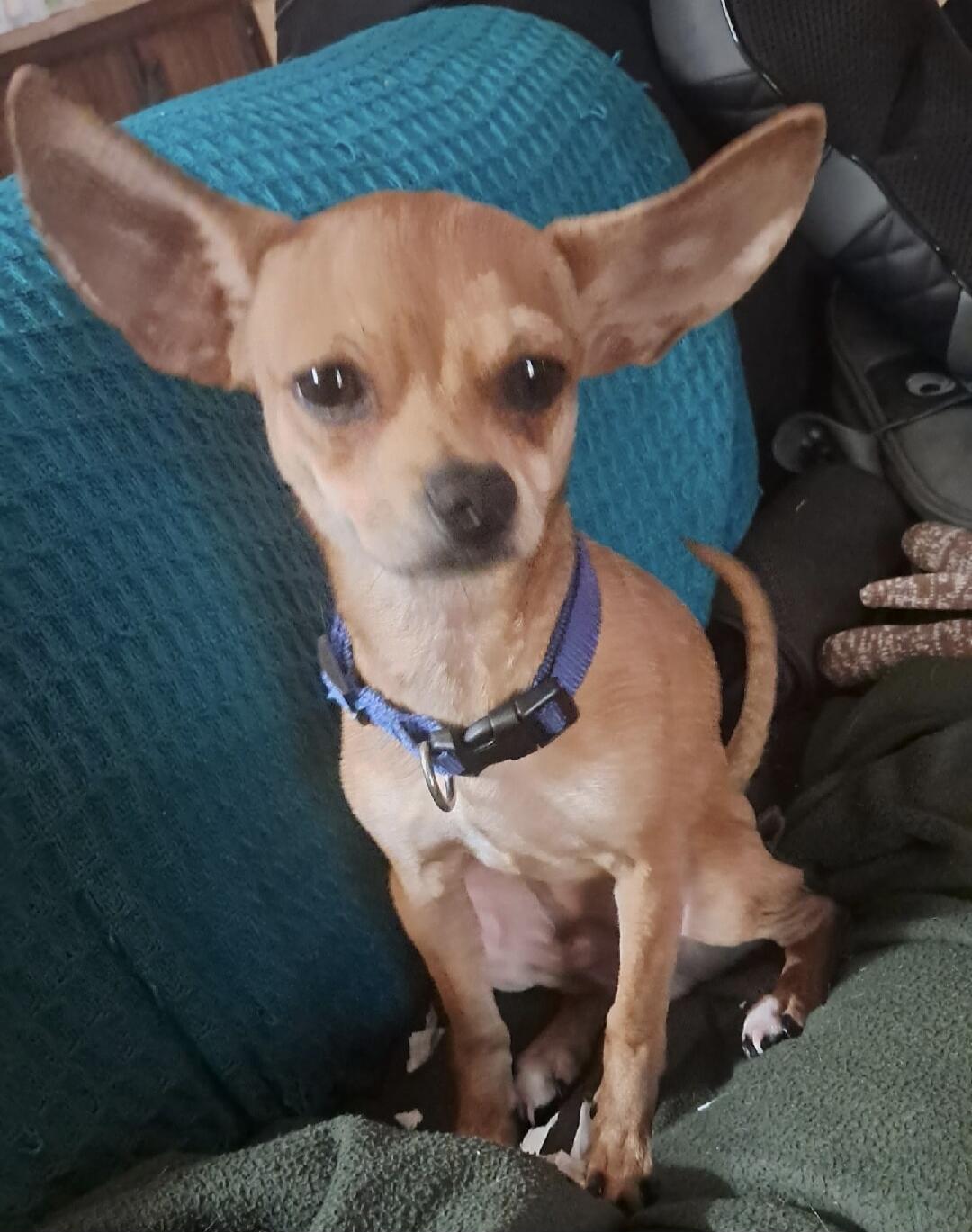 Session ID: 1084328.