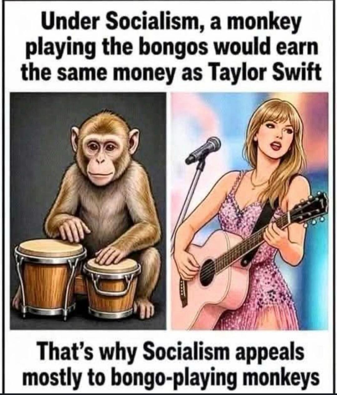 Under Socialism, a monkey playing the bongos would earn the same money as Taylor Swift. That's why Socialism appeals mostly to bongo-playing monkeys.