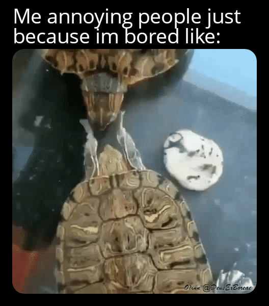 Me annoying people just because mcEore3 I1GH