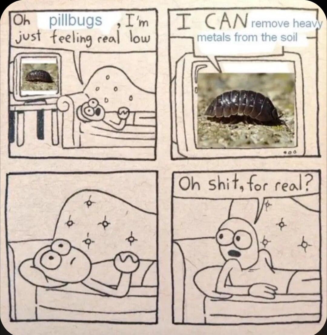 ra pillbugs Im Just feeling ceal low