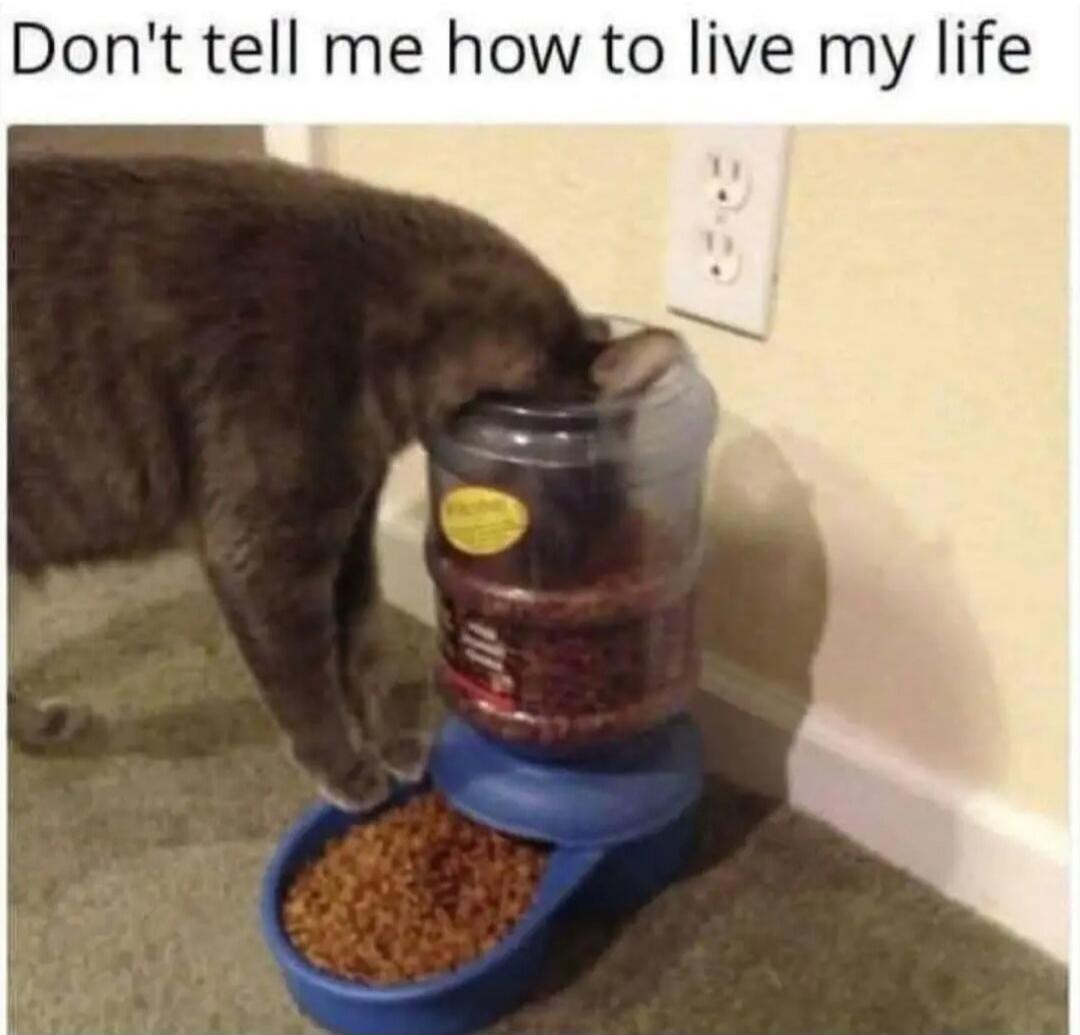 Don't tell me how to live my life
