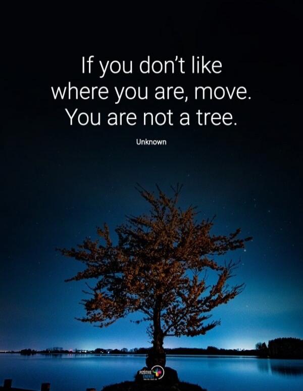 If you don't like where you are, move. You are not a tree. Unknown