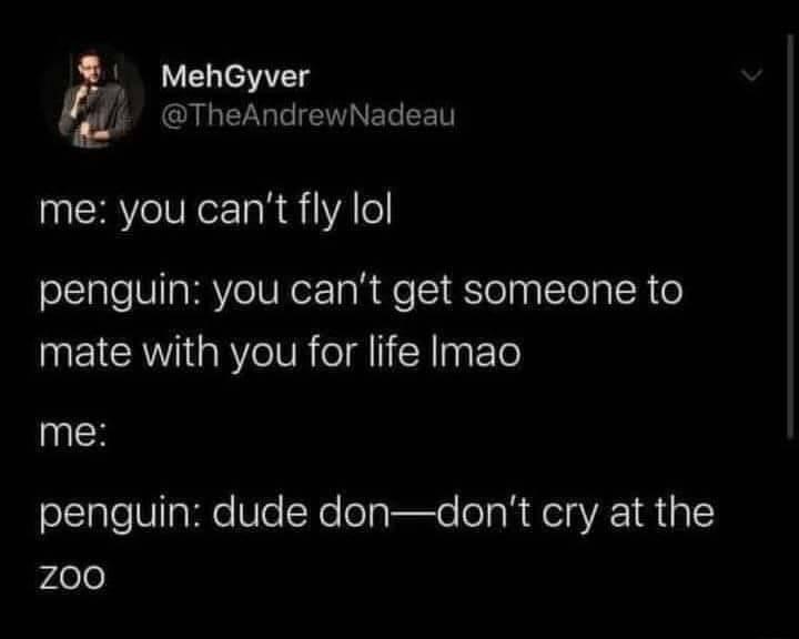 f MehGyver EN LN N E T EET me you cant fly lol penguin you cant get someone to IRV RYeIUR ol IiHagFTo me penguin dude dondont cry at the y4olo