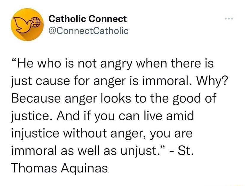 Catholic Connect ConnectCatholic He who is not angry when there is just cause for anger is immoral Why Because anger looks to the good of justice And if you can live amid injustice without anger you are immoral as well as unjust St Thomas Aquinas