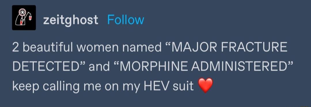 i zeitghost Follow 2 beautiful women named MAJOR FRACTURE DETECTED and MORPHINE ADMINISTERED keep calling me on my HEV suit