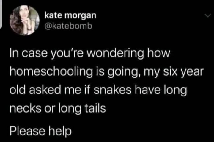 I EICHGICED katebomb aRer IAVe 1NN RVoaloI4TaTe N aTolV plenalKlelalolollIale ENe o ale Mna VA NS VLE 1 old asked me if snakes have long TGl elpleREIIS Please help