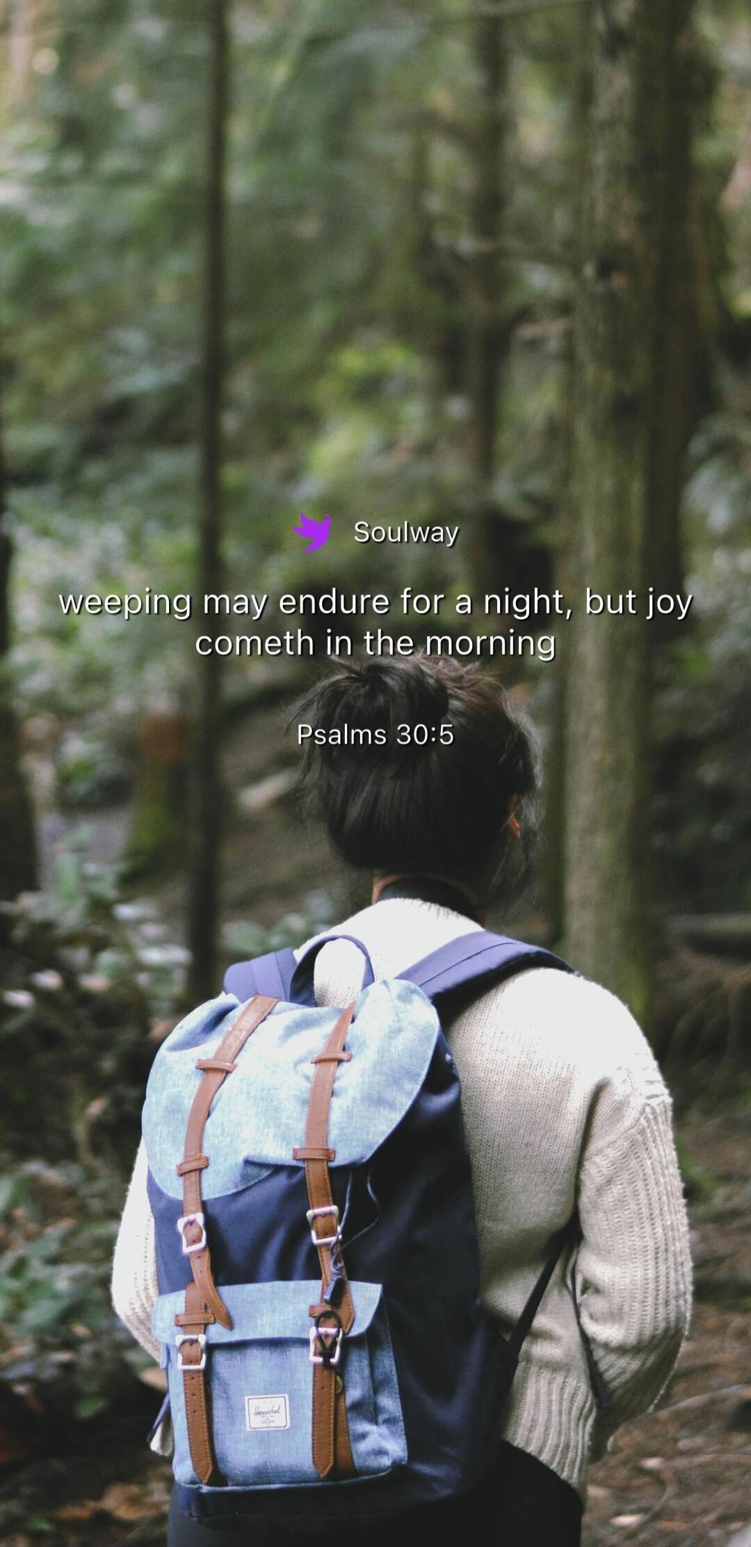 Soulway
weeping may endure for a night, but joy cometh in the morning
Psalms 30:5