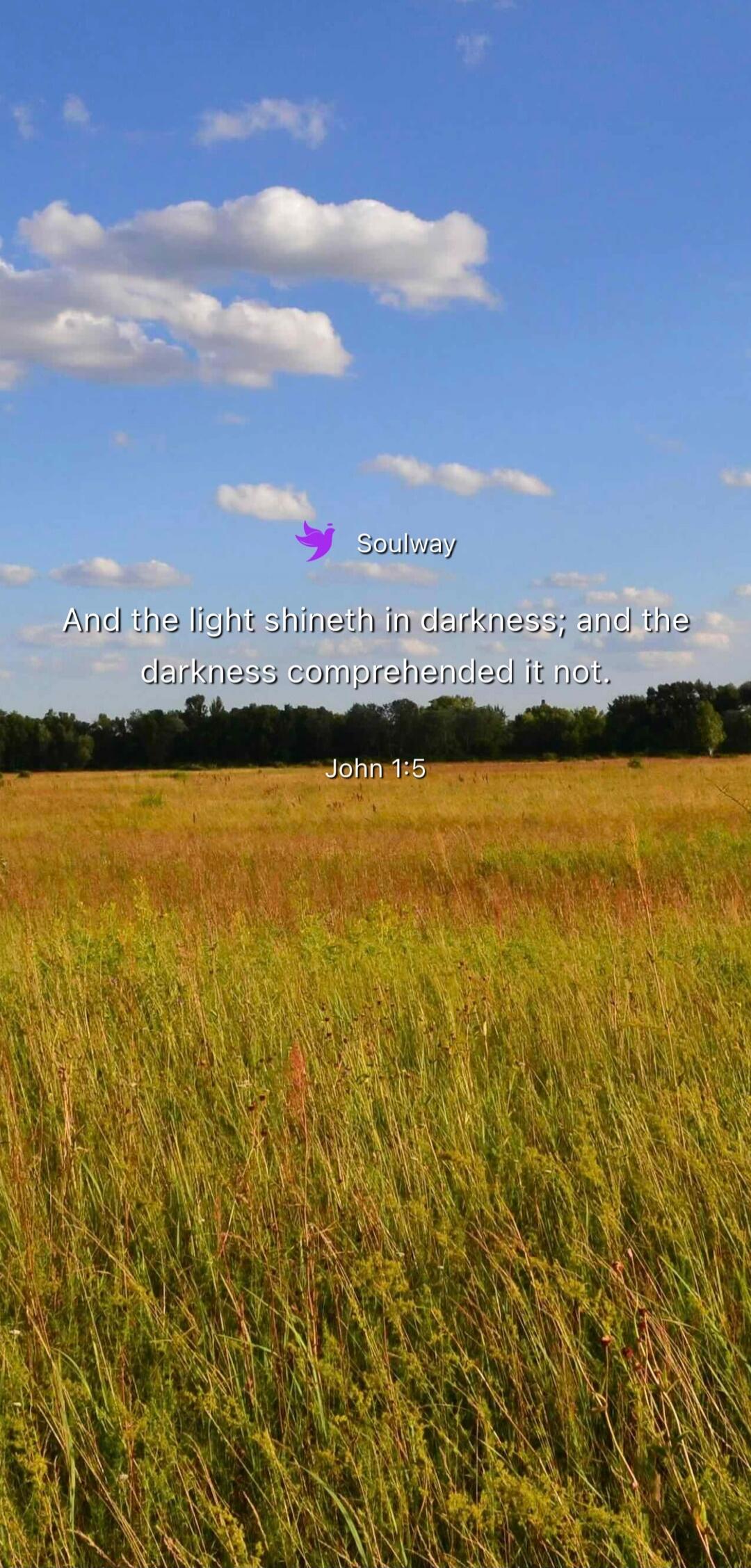 Soulway And the light shineth in darkness; and the darkness comprehended it not. John 1:5