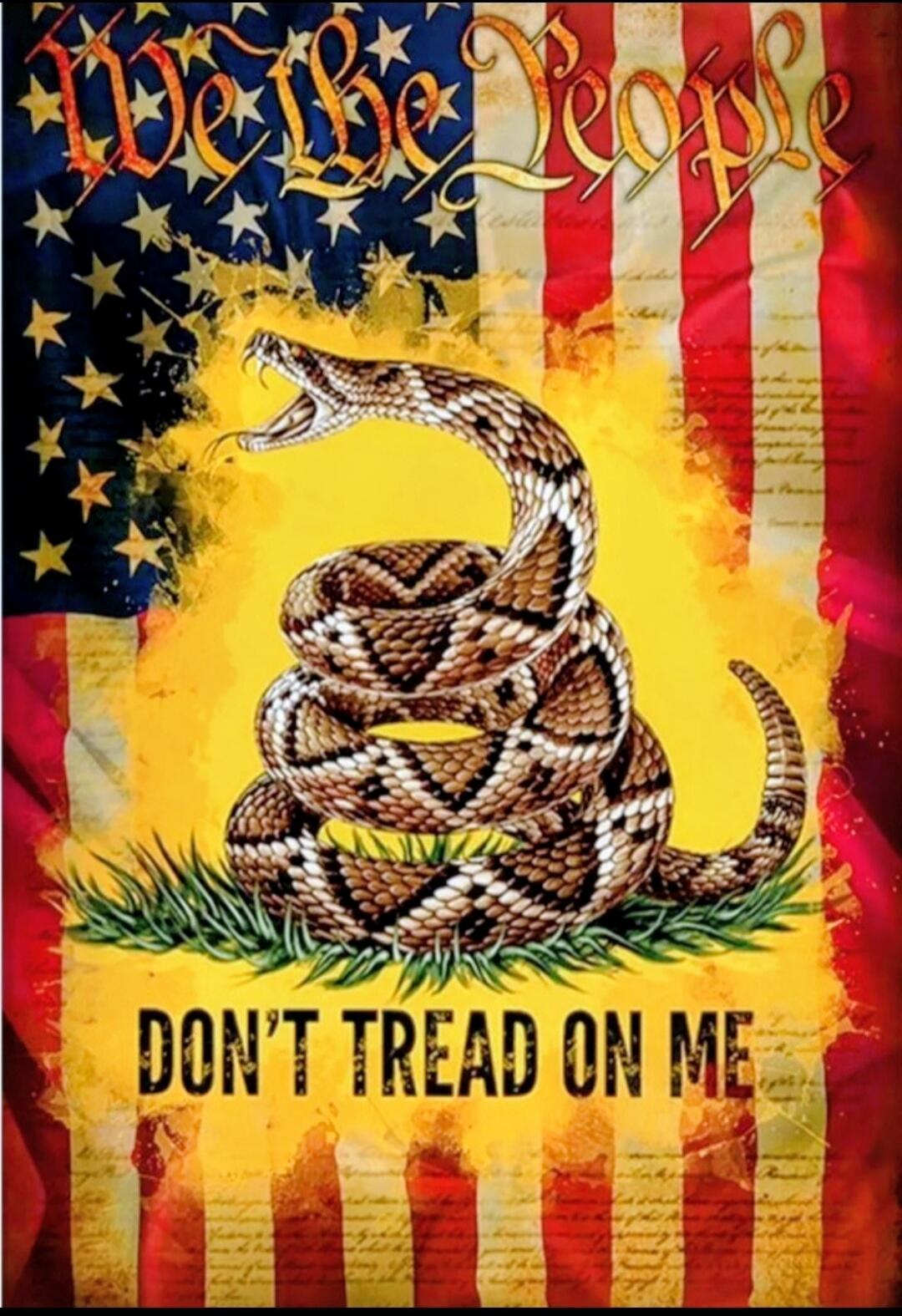 We the People DON'T TREAD ON ME